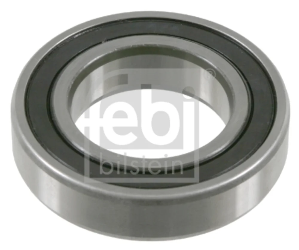 Rulman (6007)