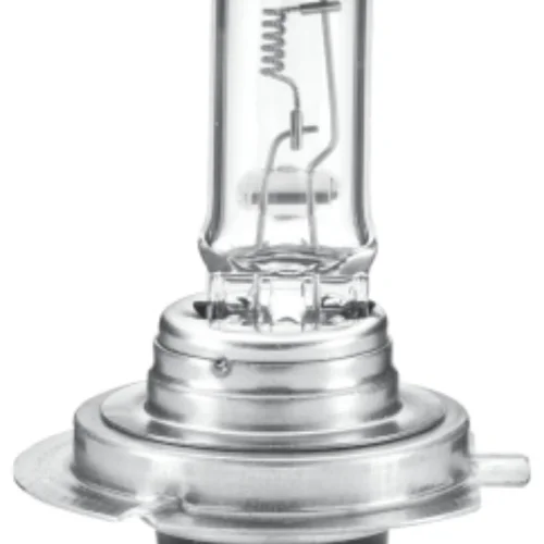 Ampul H7 24V 70W (Standart)