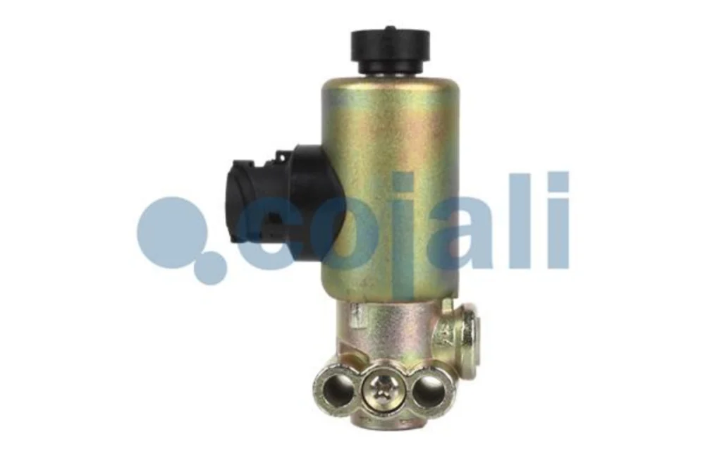 Valve With Magnet