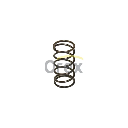 Valve Spring