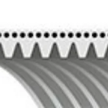 V-Ribbed Belt